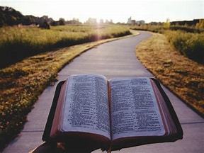 https://protestants-nantes.epudf.org/wp-content/uploads/sites/102/2025/01/Lire-la-Bible.jpg